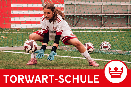 Cover F95 Torwarttraining individuell - NACH BUCHUNG WIRD TERMIN INDIVIDUEL ABGESTIMMT